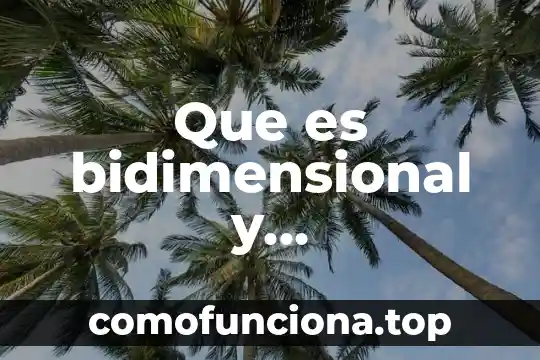Qué es el arte y cómo comenzó 6 Que es bidimensional y tridimensional en el arte