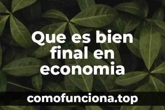 Que es pia aip fip y pif en economia 8 Que es bien final en economia