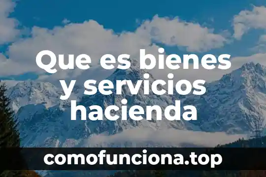 Que es la secretaria de hacienda y credito publico fondos 5 Que es bienes y servicios hacienda