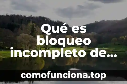 Que es el realismo como rama de conocimiento 6 Qué es bloqueo incompleto de rama derecha