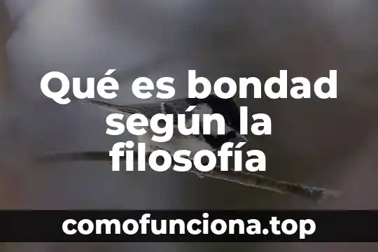 Tecno filosofía que es 6 Qué es bondad según la filosofía