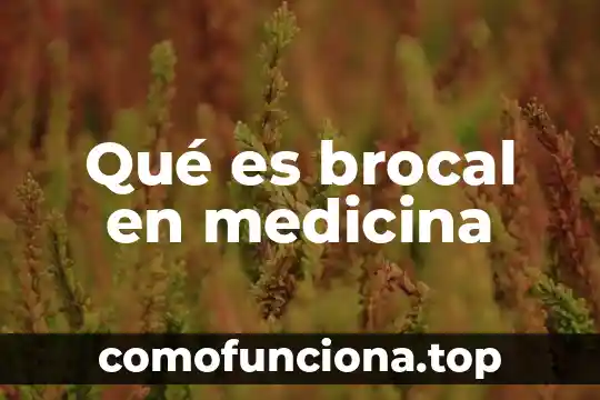 Qué es la conciencia en medicina 7 Qué es brocal en medicina