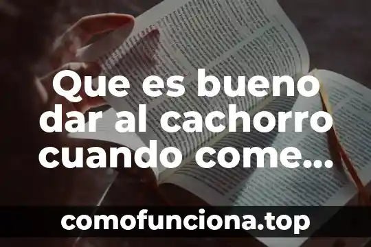 Que es lo bueno de la cultura tradicional 4 Que es bueno dar al cachorro cuando come mucos pollitos