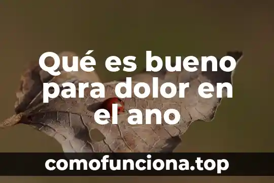 Año de publicación del libro Alexander que es teoría 8 Qué es bueno para dolor en el ano