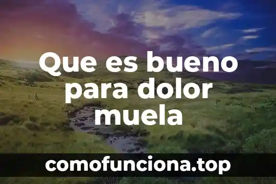 Que es lo bueno de la cultura tradicional 6 Que es bueno para dolor muela