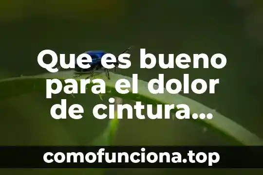 Que es bueno para el vomito remedios caseros 7 Que es bueno para el dolor de cintura remedios caseros