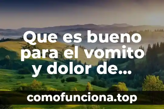 Jengibre planta para que es bueno 7 Que es bueno para el vomito y dolor de cabeza