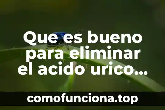 Que es acido en la orina 3 Que es bueno para eliminar el acido urico del cuerpo