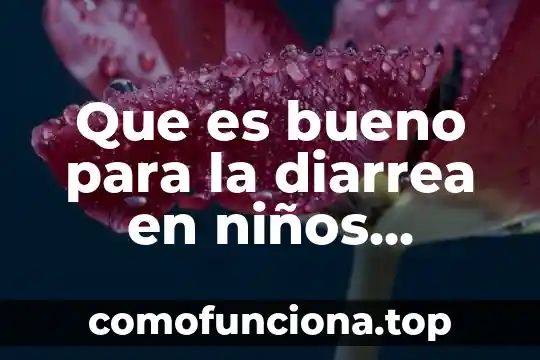Que es bueno para parar el vomito y la diarrea 3 Que es bueno para la diarrea en niños pequeños
