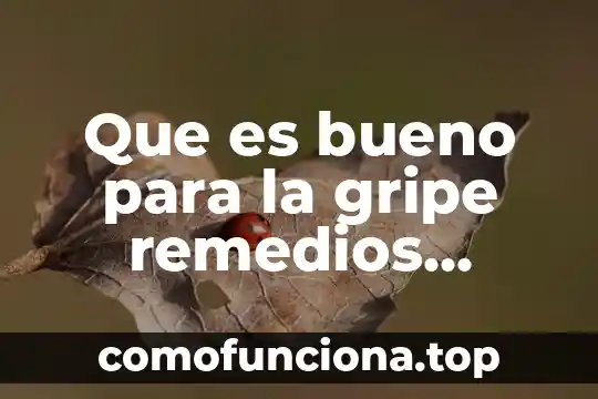 Que es bueno para el vomito remedios caseros 6 Que es bueno para la gripe remedios naturales