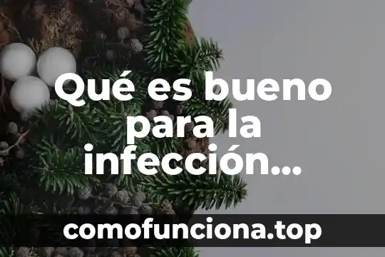 Qué es bueno tomar para la infección de garganta 5 Qué es bueno para la infección urinaria en bebés