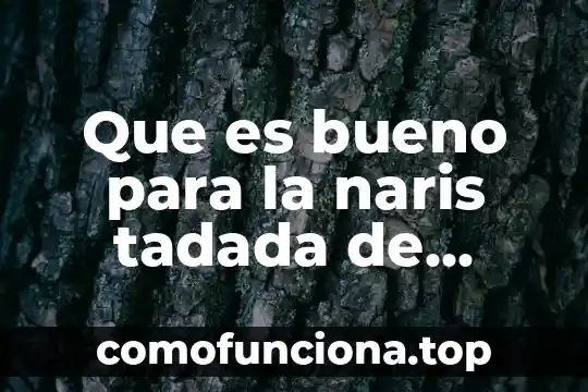 Que es estado de cultura 3 Que es bueno para la naris tadada de ninos