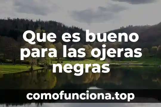 Jengibre planta para que es bueno 5 Que es bueno para las ojeras negras