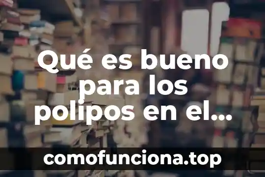 Que es el arte urbano resumen 7 Qué es bueno para los polipos en el colon