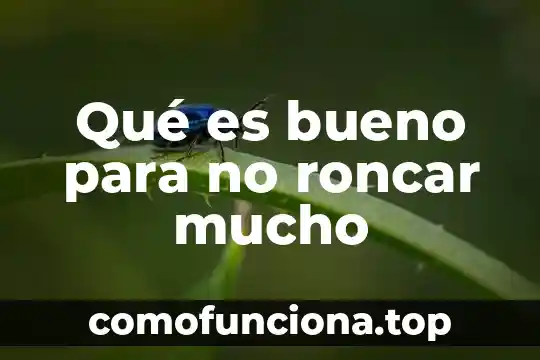 Que es llevar mucho fruto segun la biblia 7 Qué es bueno para no roncar mucho