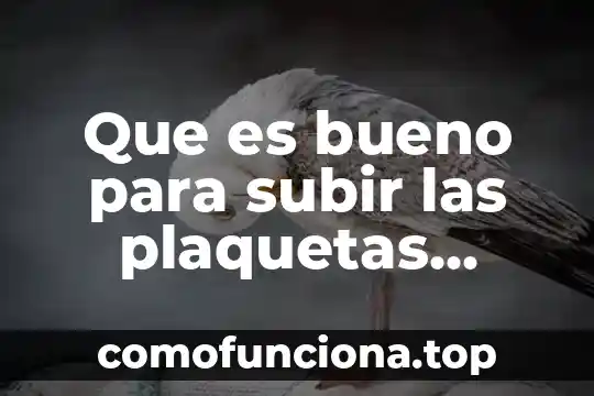Que es diversidad genética biologia 3 Que es bueno para subir las plaquetas bajas