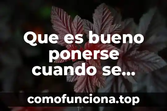 Que es el significado de la quema del mal humor 4 Que es bueno ponerse cuando se quema uno