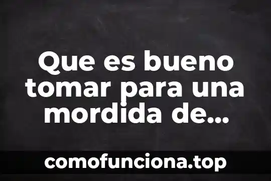 Qué es mejor tomar la metformina 8 Que es bueno tomar para una mordida de perro