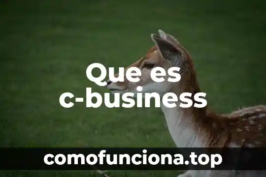 Que es educar para la libertad 4 Que es c-business