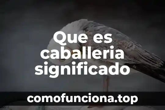 Que es flogisto significado 3 Que es caballeria significado