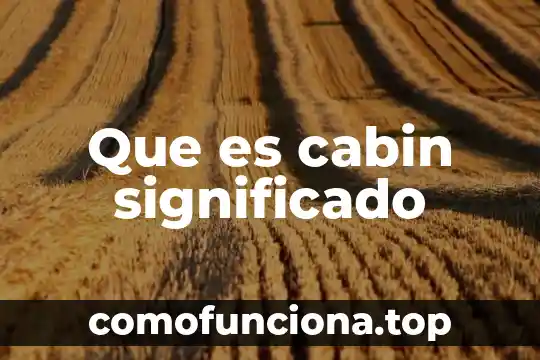 Que es estupido significado 3 Que es cabin significado