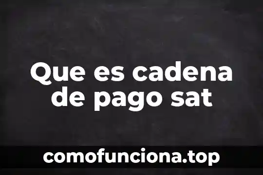 Que es el control del movimiento corporal 3 Que es cadena de pago sat