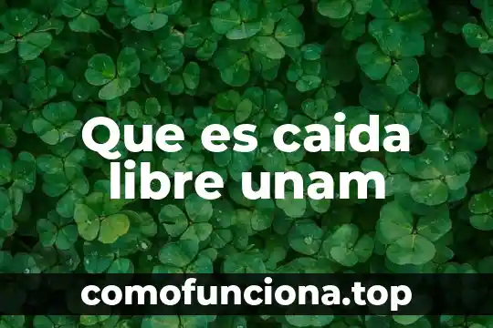 Que es caida libre y sus componentes 5 Que es caida libre unam