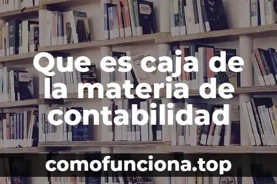 Que es la caja negra en teoria de sistemas 6 Que es caja de la materia de contabilidad