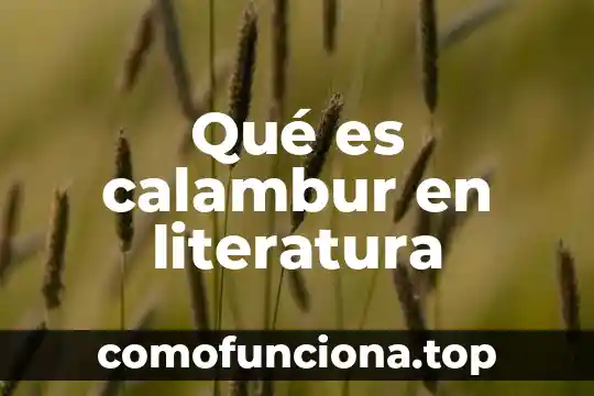 Qué es argumento en literatura 3 Qué es calambur en literatura