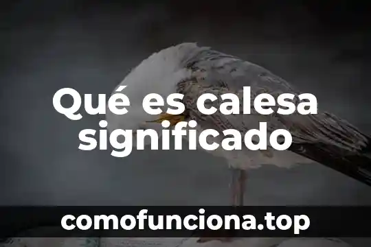 Ifai significado que es 6 Qué es calesa significado