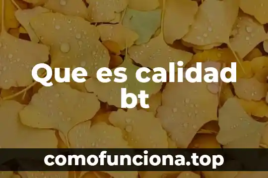 Que es el premio iberoamericano de la calidad 5 Que es calidad bt