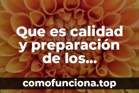 Que es la preparacion fisica y como se divide 6 Que es calidad y preparación de los instructores