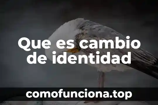 Que es un cambio vit de infonavitt 3 Que es cambio de identidad