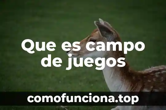 Juegos paradojicos mencionando que es lo que e utiliza 7 Que es campo de juegos