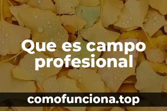 Ensayo de que es ser profesional 4 Que es campo profesional