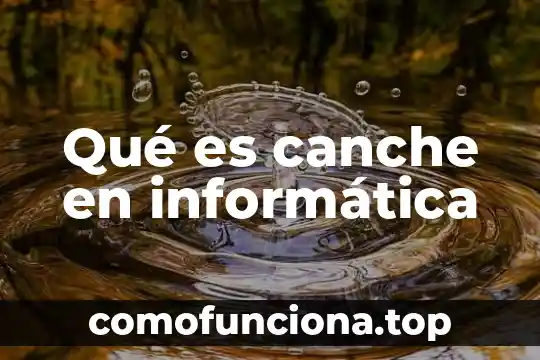 La flor de cilantro para que es buena 4 Qué es canche en informática