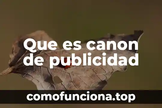 Que es ser canon en anime 6 Que es canon de publicidad