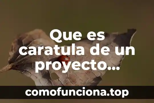 Que es la caratula de historia 3 Que es caratula de un proyecto trabajo social