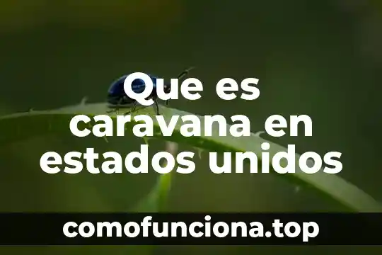 Que es origen hispano o latino estados unidos 3 Que es caravana en estados unidos