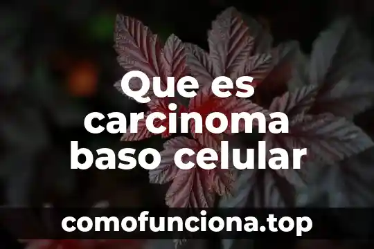 Qué es un carcinoma ductal infiltrante de tipo no específico 3 Que es carcinoma baso celular