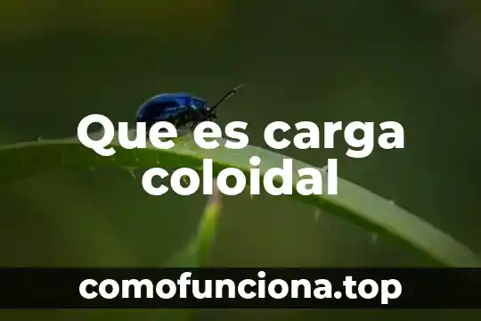 Que es el principio de cuantizacion de la carga electrica 3 Que es carga coloidal
