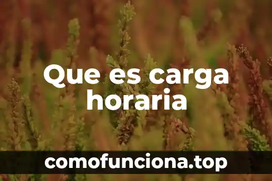 Qué es un número y una p 4 Que es carga horaria