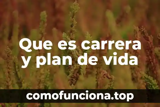 Que es de por vida significado 6 Que es carrera y plan de vida