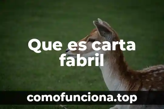 Que es una sociedad de contraste 8 Que es carta fabril