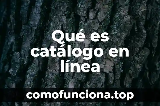 Catalogo de cuentas de una empresa industrial que es 8 Qué es catálogo en línea