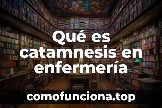Que es refugiada en historia 3 Qué es catamnesis en enfermería