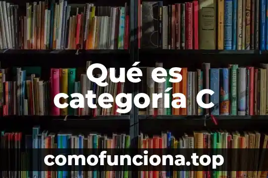 Que es una clase o categoria de datos 6 Qué es categoría C