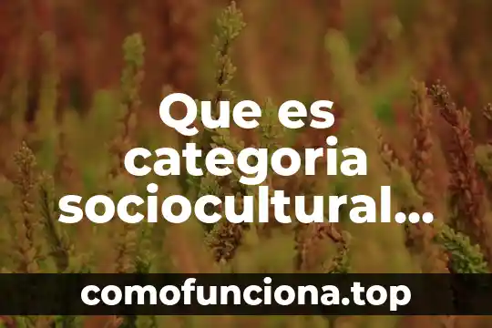 Que es una clase o categoria de datos 3 Que es categoria sociocultural en arquitectura