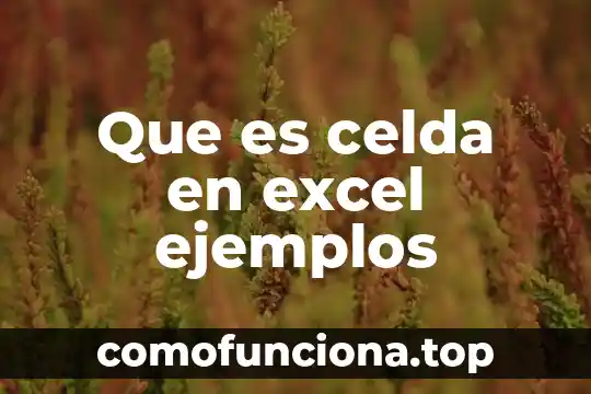 Icono de palomita en Excel que es una celda 7 Que es celda en excel ejemplos