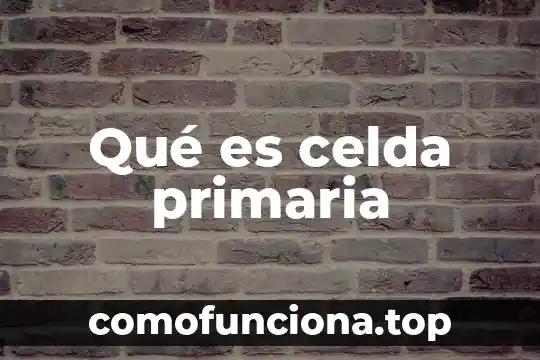 Icono de palomita en Excel que es una celda 8 QuƩ es celda primaria